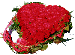 Rosenherz Rosenherz