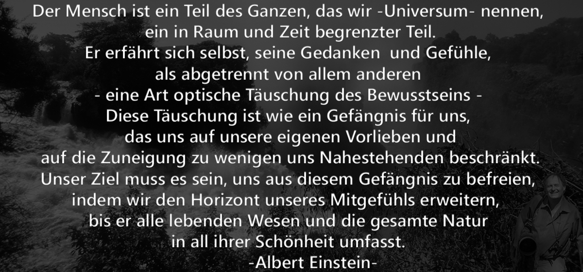Hintergrundbild